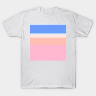 An ideal tranquility of Fresh Air, Cornflower Blue, Baby Pink, Misty Rose and Pale Rose stripes. T-Shirt